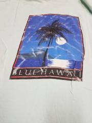 Blue Hawaii T-Shirt, Teal, XL