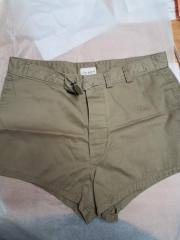 Trunks, Swimmers. Swim shorts. Button/sewed in Belt cinch. Canvas. Khaki. 34