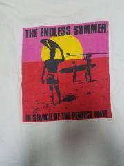 Endless Summer T-Shirt, "In search of the perfect wave" ,taupe, L