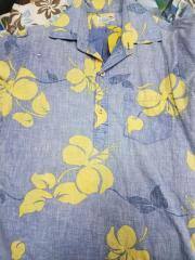 Pua Hawaii (surfline) Aloha Shirt, Button up, polo neck, Blue/Yellow, M